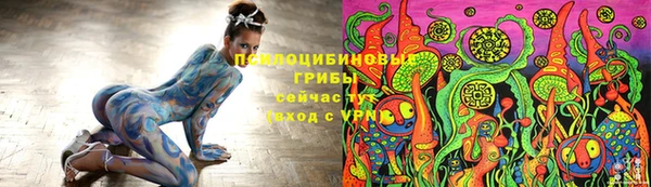 a pvp Алексин