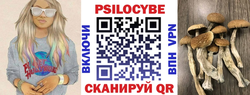 купить  цена  мега как войти  Псилоцибиновые грибы Psilocybine cubensis  shop формула  Мытищи 