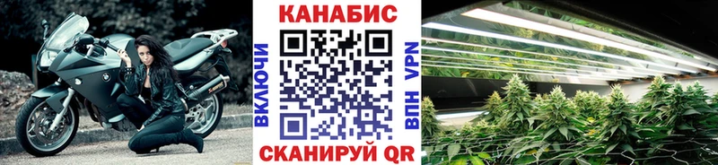 где продают   Мытищи  МАРИХУАНА VHQ 